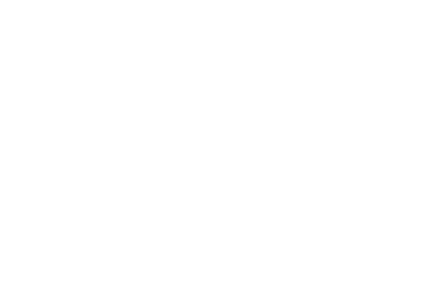 BUT_logo